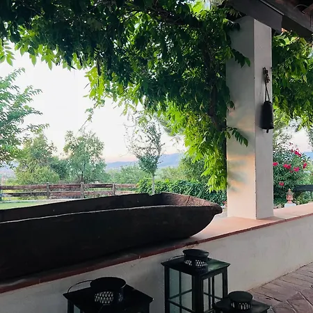 El Molino *